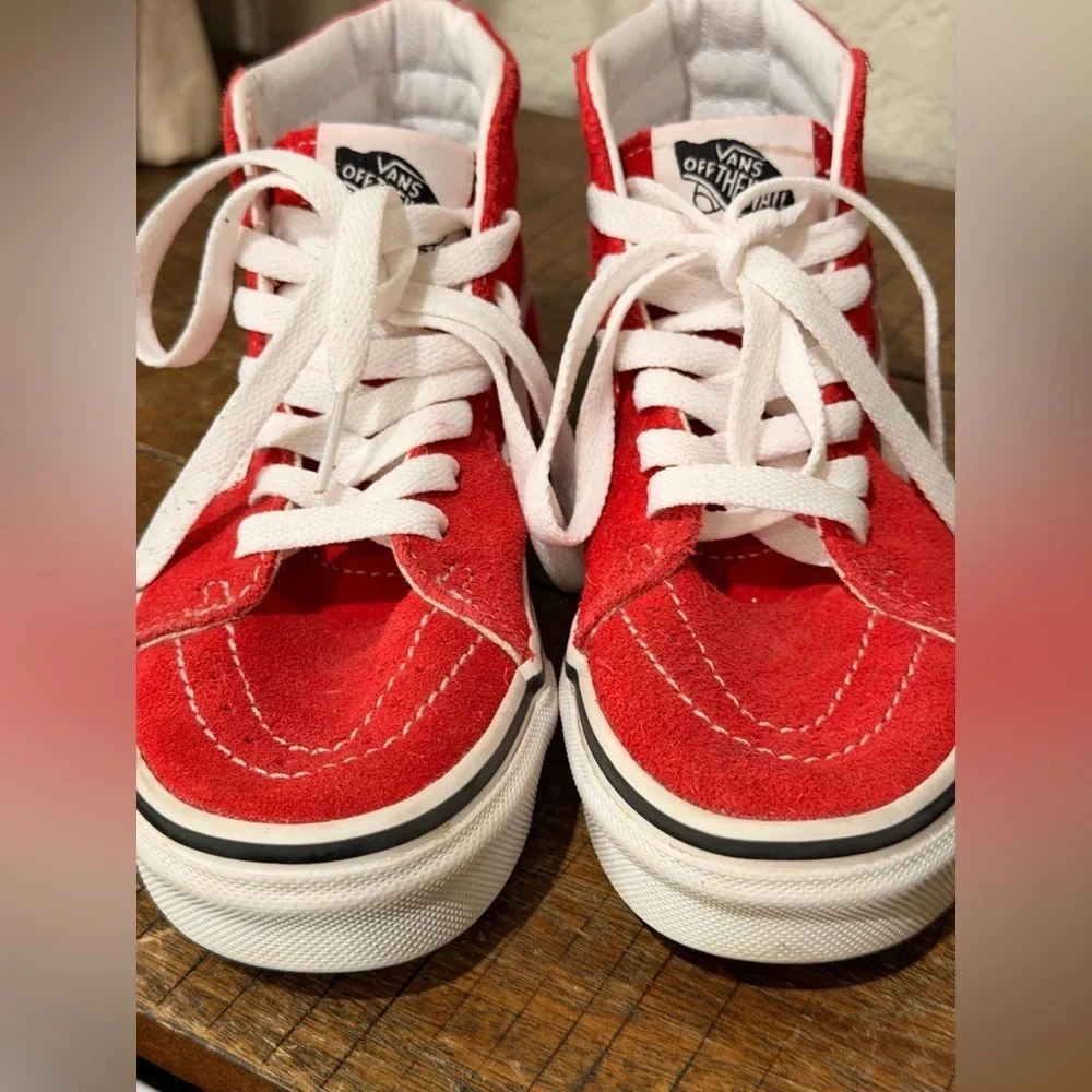 Sk8-Hi Shoe Lifestyle, Original Icon, Suede, Canvas size 1